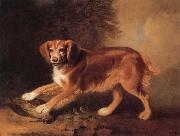 A Celebrated spaniel,the property of colonel joliffe,in a landscape with a woodcock
